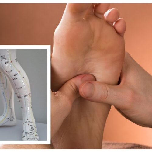 Seminar #8 – Gold Lines: Activating Lower Leg Meridians