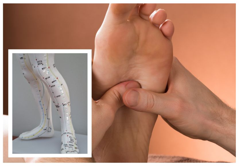 Seminar #8 – Gold Lines: Activating Lower Leg Meridians Seminar #8 – Gold Lines: Activating Lower Leg Meridians